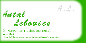 antal lebovics business card